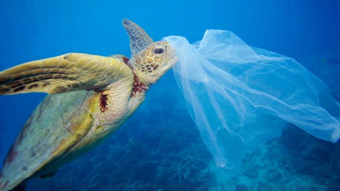 Nace AEPW Contra los Residuos Plásticos en el Medio Ambiente thumb